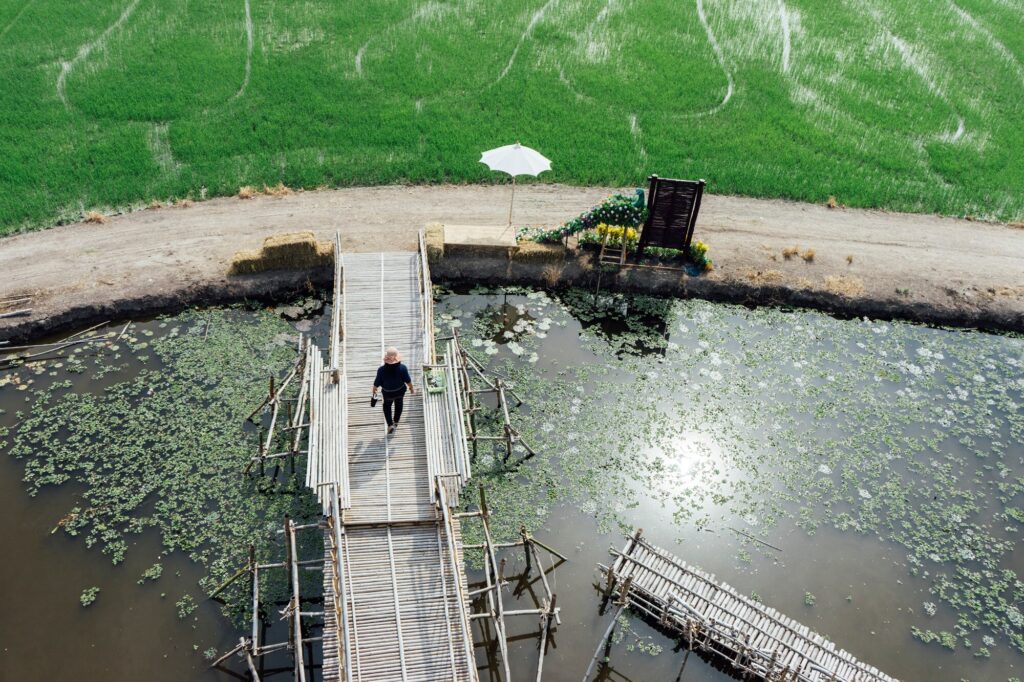 Fish and fish habitat assessment