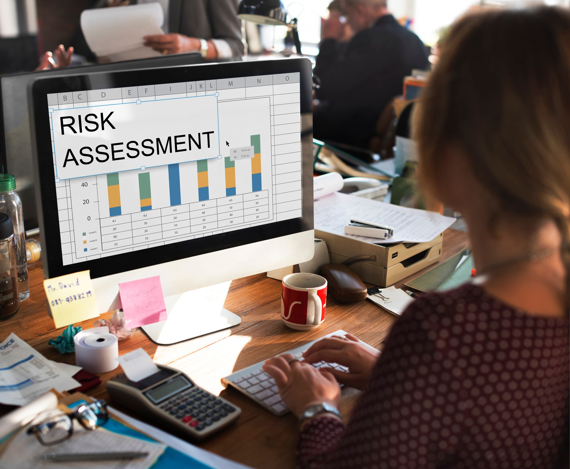 Risk and Vulnerability Assessments